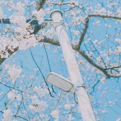 最强98k手机版下载